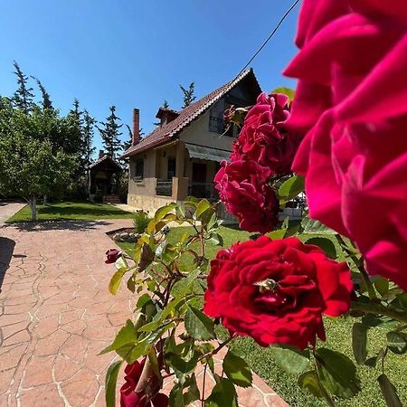 Villa Katerina Nea Kallikrateia Экстерьер фото
