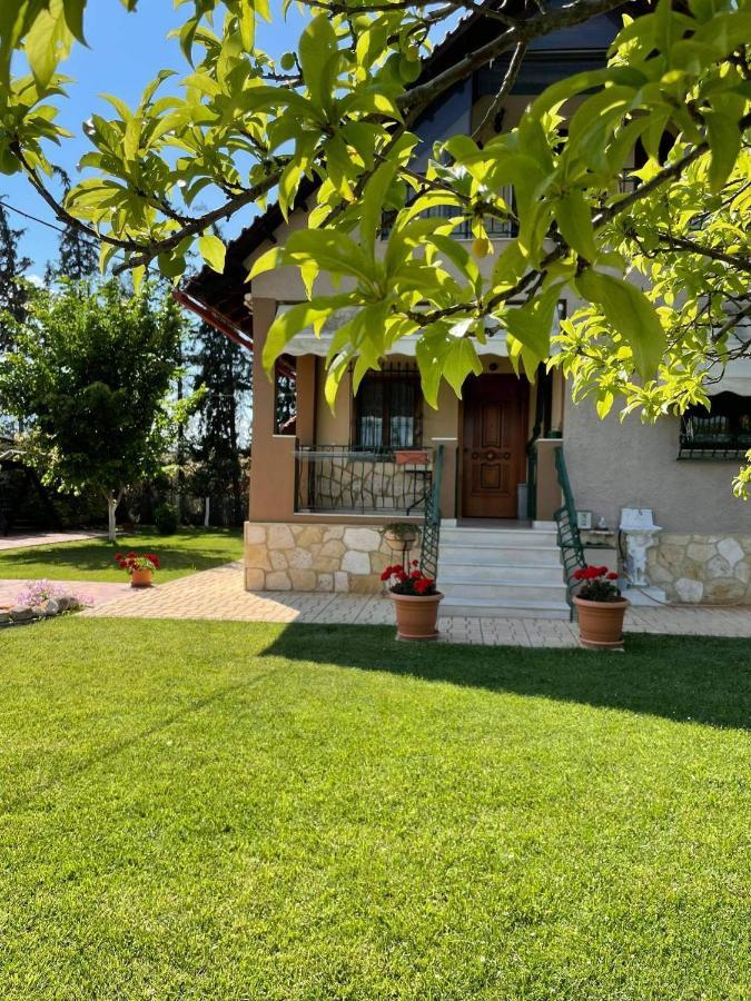 Villa Katerina Nea Kallikrateia Экстерьер фото