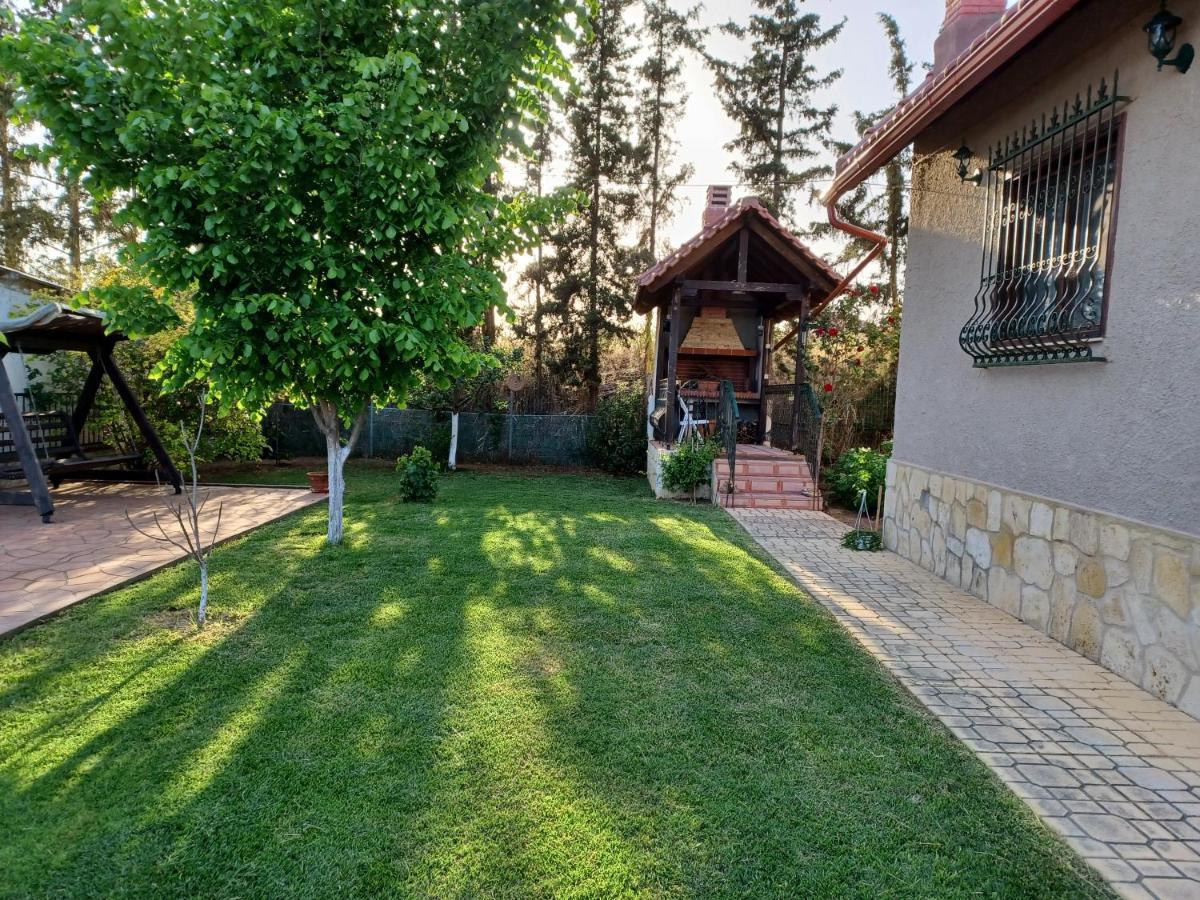 Villa Katerina Nea Kallikrateia Экстерьер фото