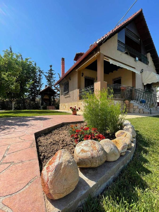 Villa Katerina Nea Kallikrateia Экстерьер фото