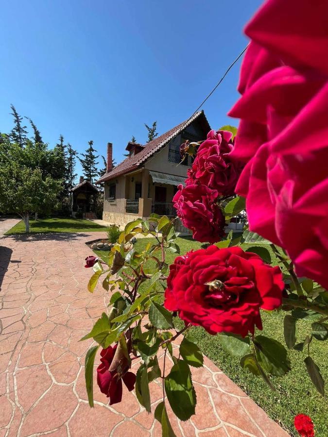 Villa Katerina Nea Kallikrateia Экстерьер фото